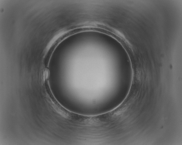 X0000063441368200601201144