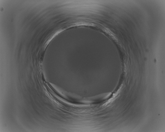 X0000063441369200601201144