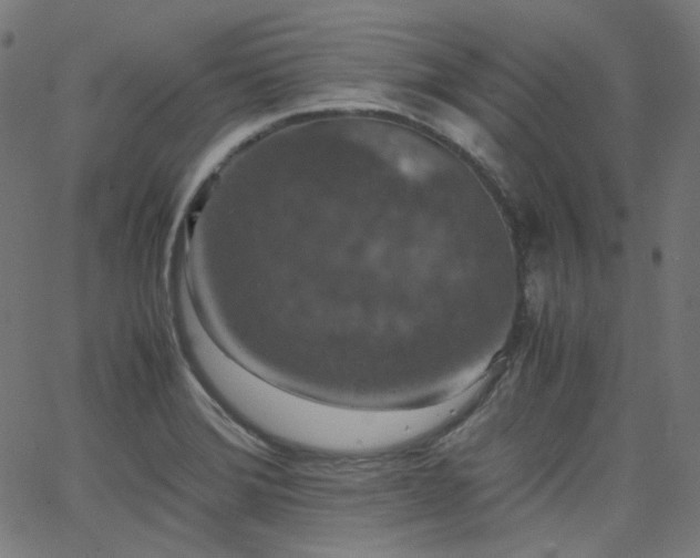 X0000063441372200601201144