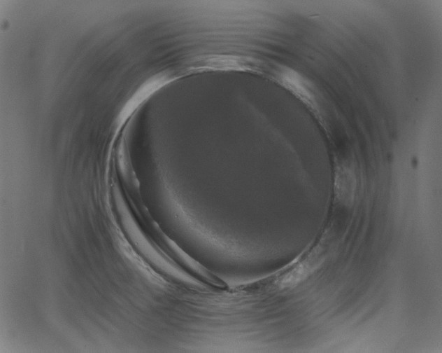 X0000063441378200601201144