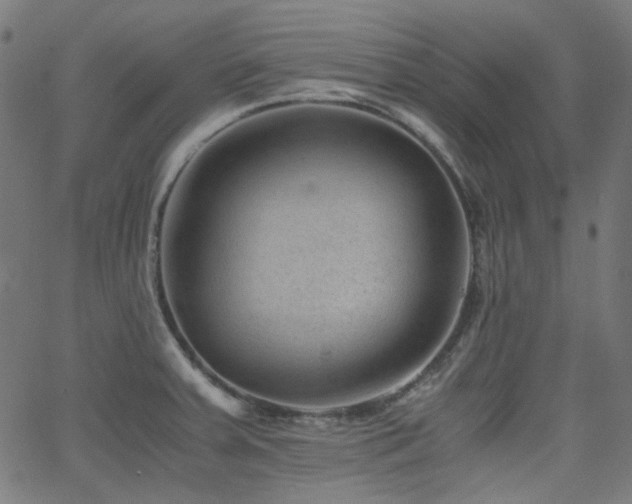 X0000063441379200601201144