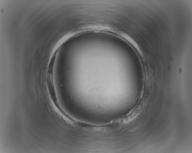 X0000063441381200601201144
