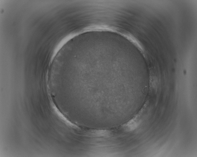 X0000063441382200601201144