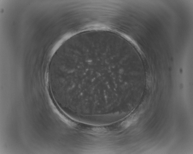 X0000063441383200601201144