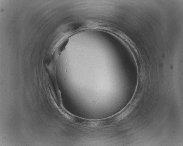 X0000063441385200601201144