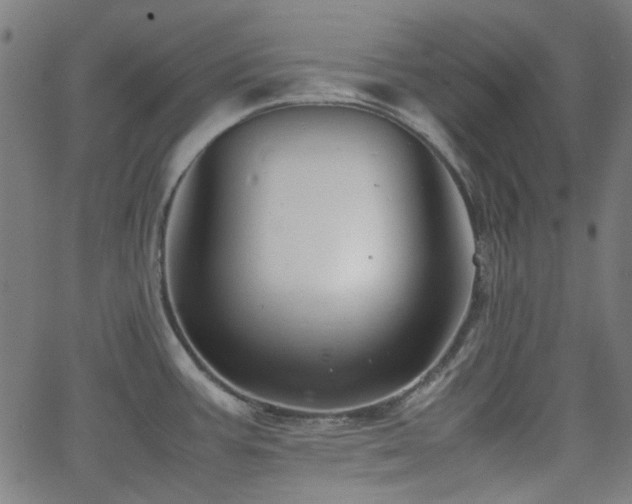 X0000063441387200601201144