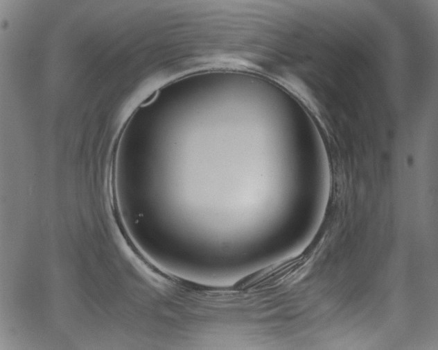 X0000063441391200601201143