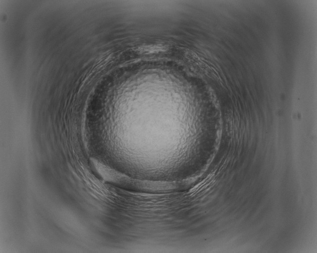 X0000063441393200601201143