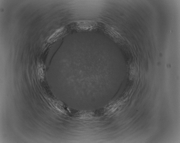 X0000063441394200601201143
