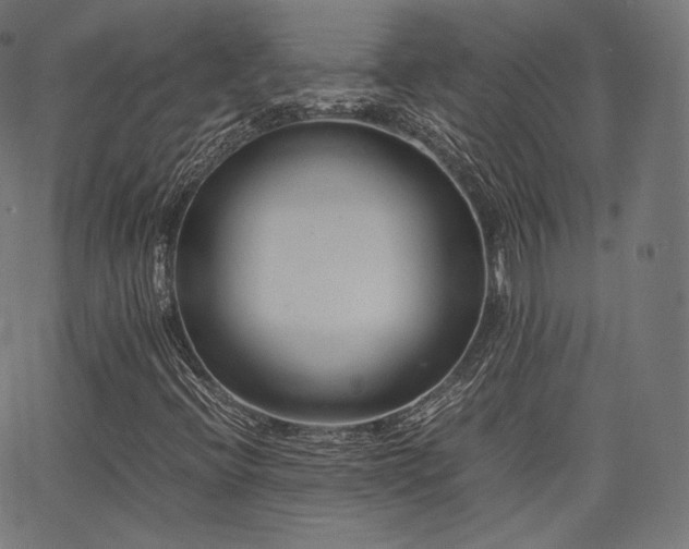 X0000063441396200601201143