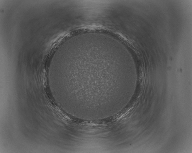 X0000063441398200601201143