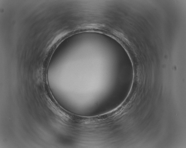 X0000063441404200601201143