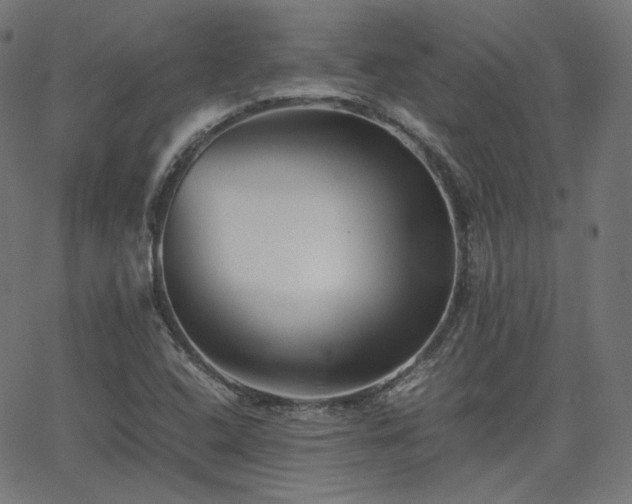 X0000063441408200601201143