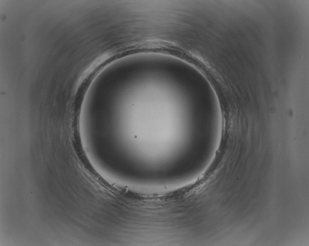 X0000063441410200601201143