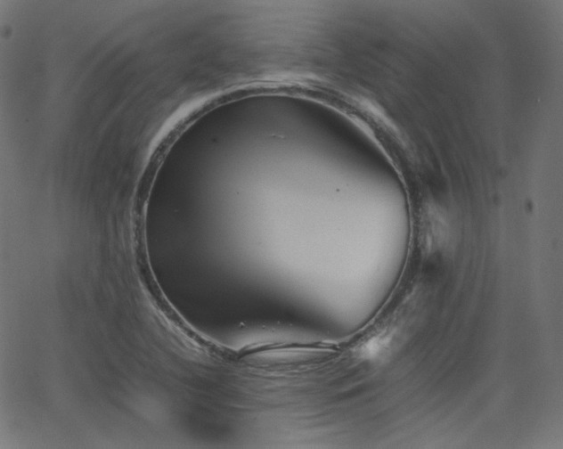 X0000063441412200601201143
