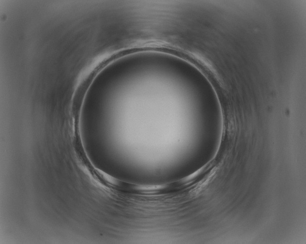 X0000063441414200601201143