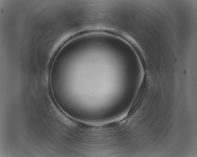 X0000063441416200601201143