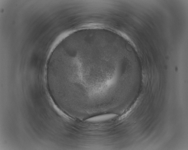 X0000063441421200601201143
