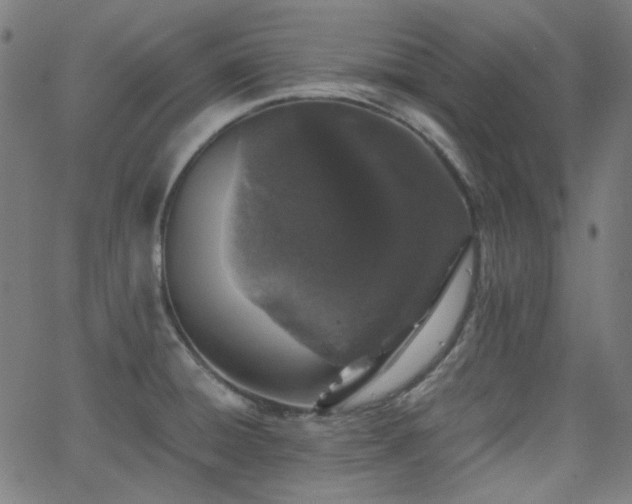 X0000063441428200601201143