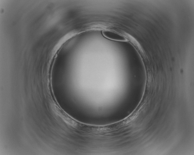 X0000063441435200601201143