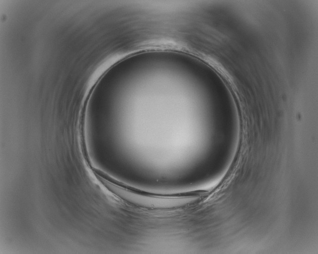 X0000063441440200601201143