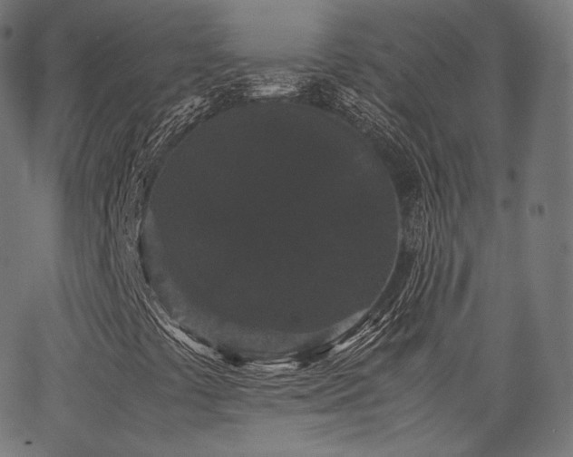 X0000063441441200601201143
