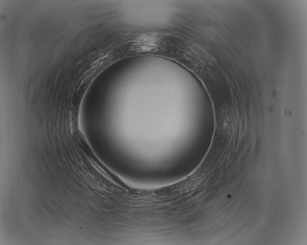 X0000063441442200601201143