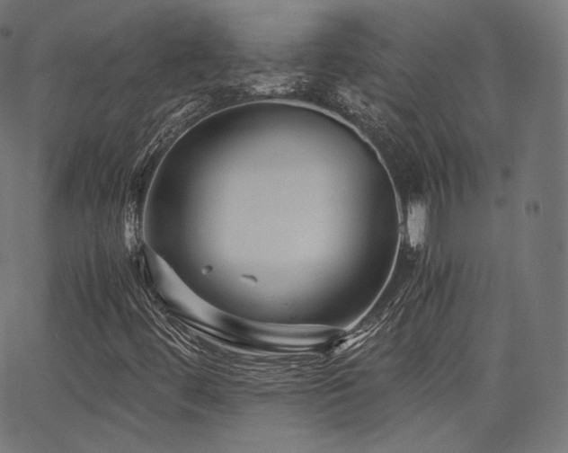 X0000063441444200601201143