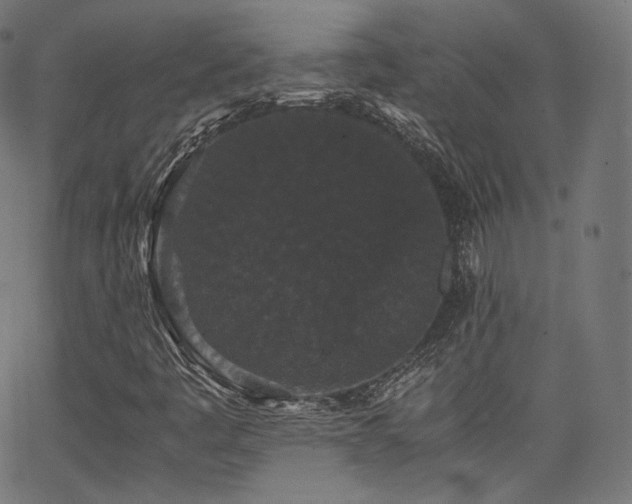 X0000063441445200601201143