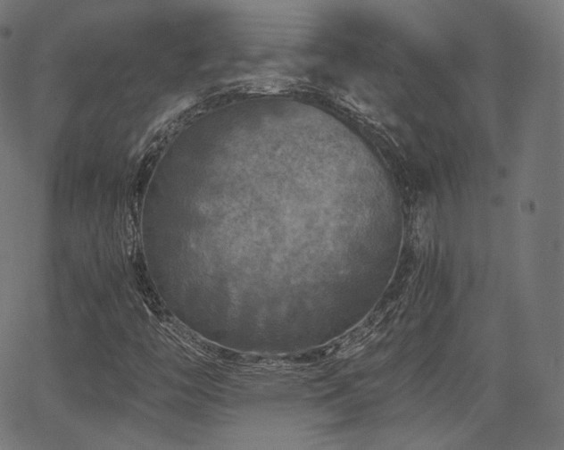 X0000063441446200601201143