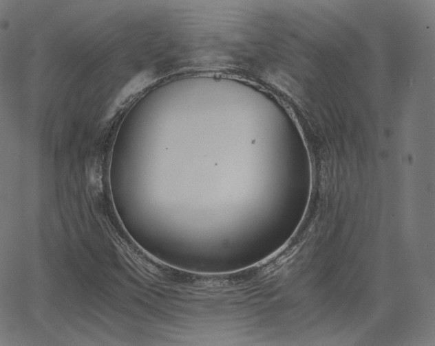 X0000063441451200601201143