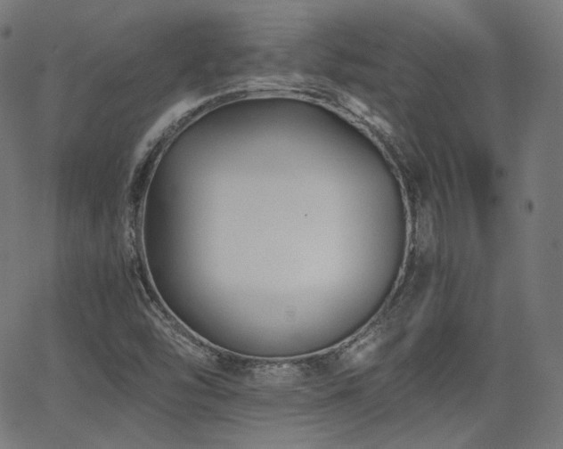X0000063441454200601201142