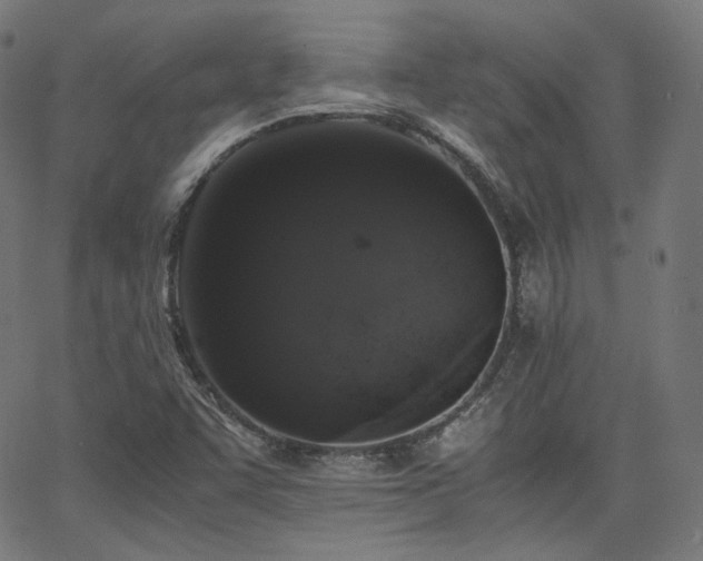 X0000063441455200601201142