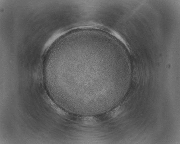 X0000063441456200601201142