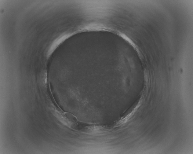 X0000063441461200601201142
