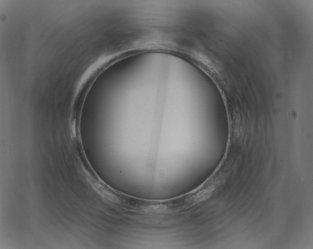X0000063441462200601201142