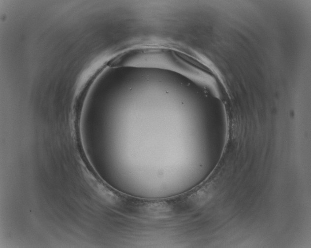 X0000063441464200601201142