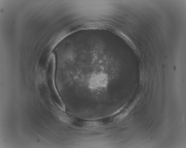 X0000063441465200601201142