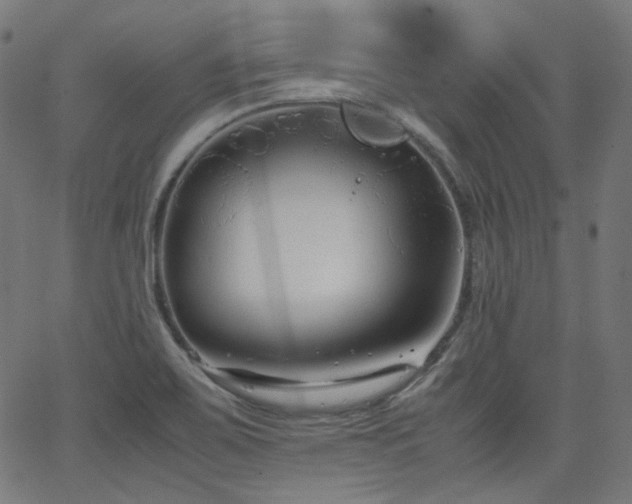 X0000063441467200601201142