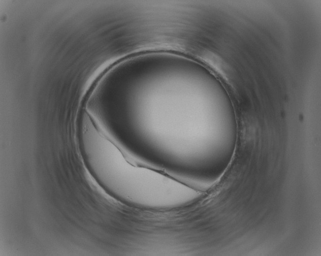 X0000063441468200601201142