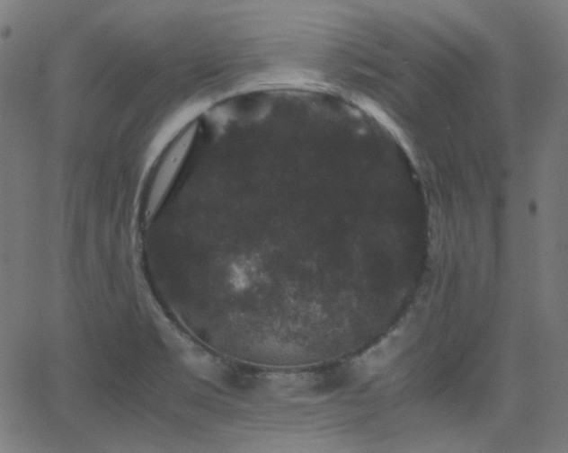 X0000063441469200601201142