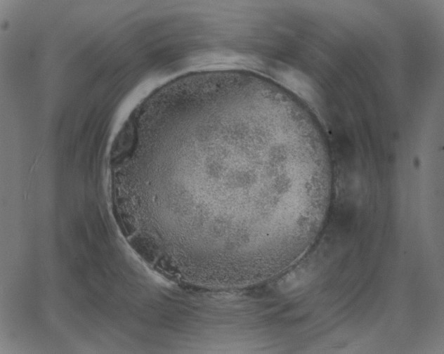 X0000063441472200601201142