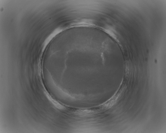 X0000063441474200601201142