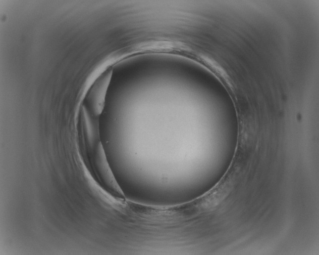 X0000063441475200601201142