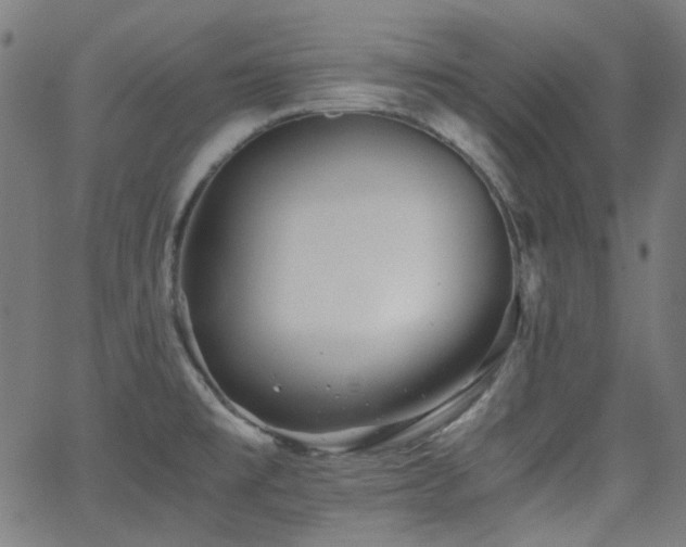 X0000063441477200601201142