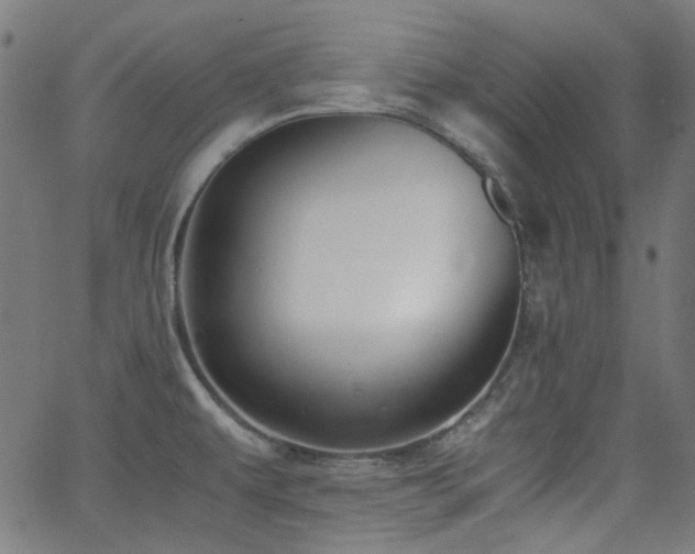 X0000063441479200601201142