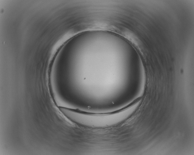 X0000063441480200601201142