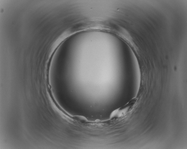 X0000063441483200601201142
