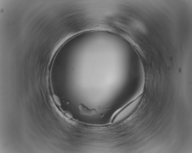 X0000063441484200601201142