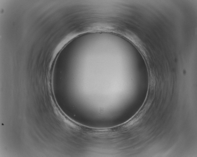 X0000063441486200601201142